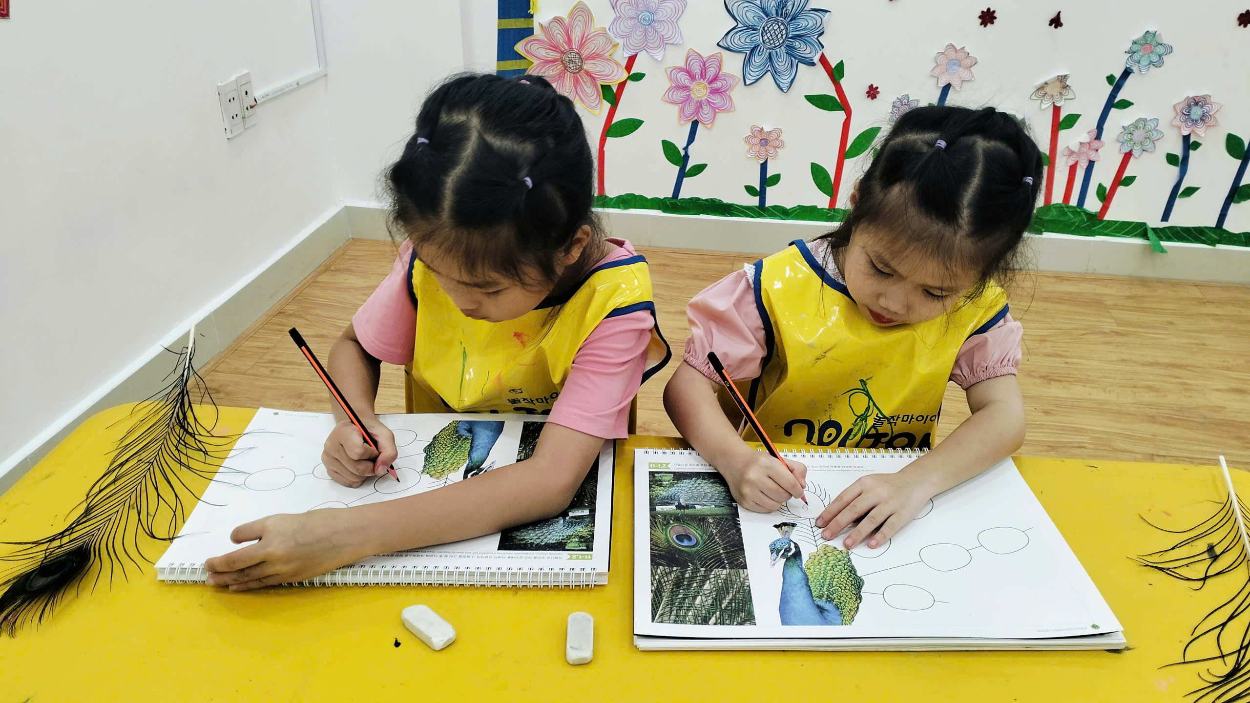 ĐuÔi CÔng VÀ NhỮng MẢng MÀu LẤp LÁnh 🦚