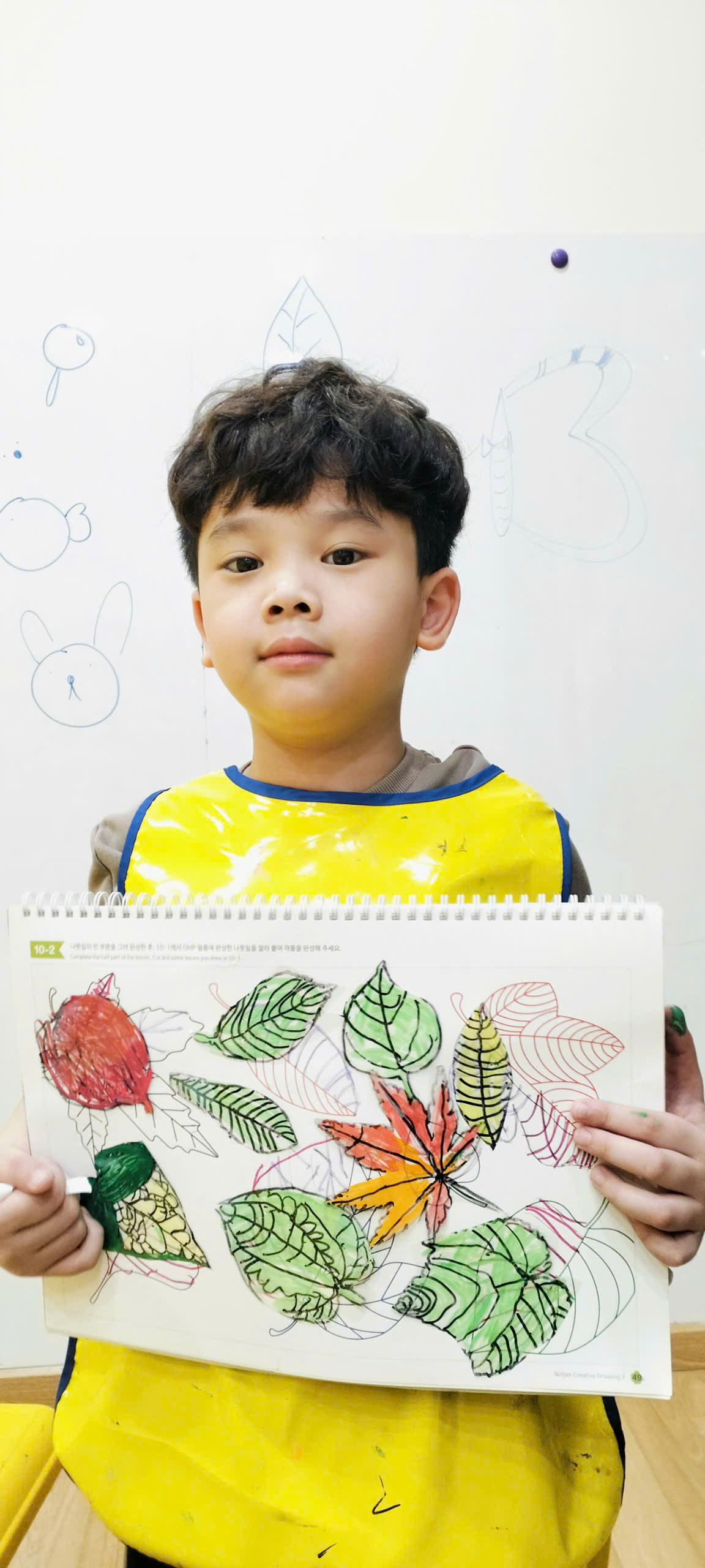 🍃 NhỮng ChiẾc LÁ MÙa Thu