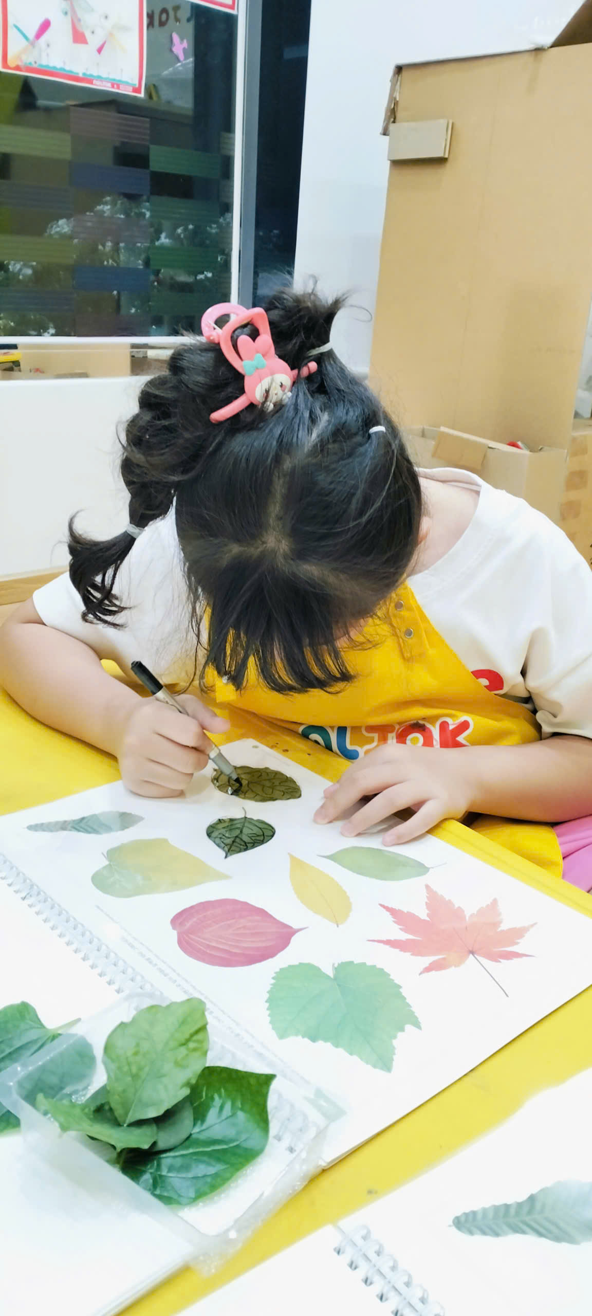 🍃 NhỮng ChiẾc LÁ MÙa Thu