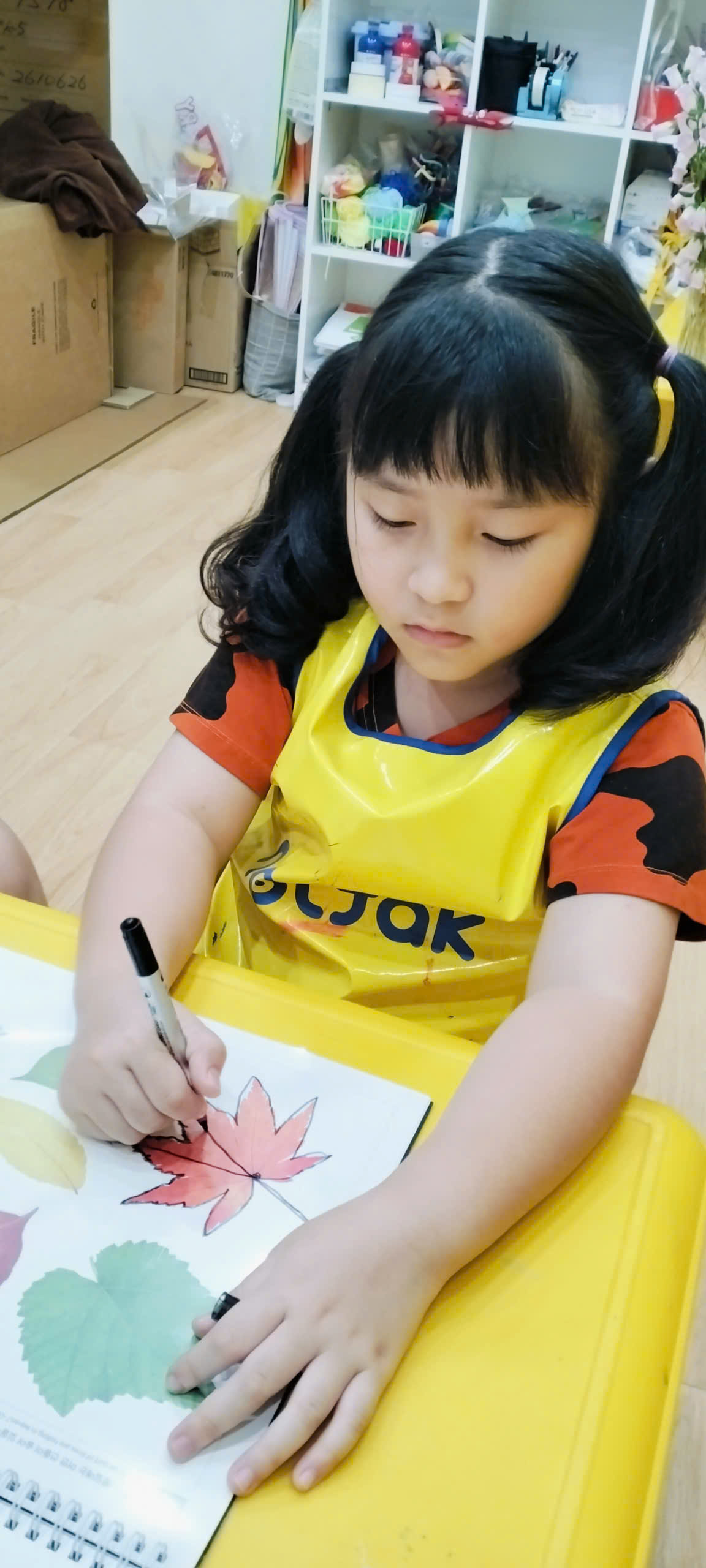 🍃 NhỮng ChiẾc LÁ MÙa Thu