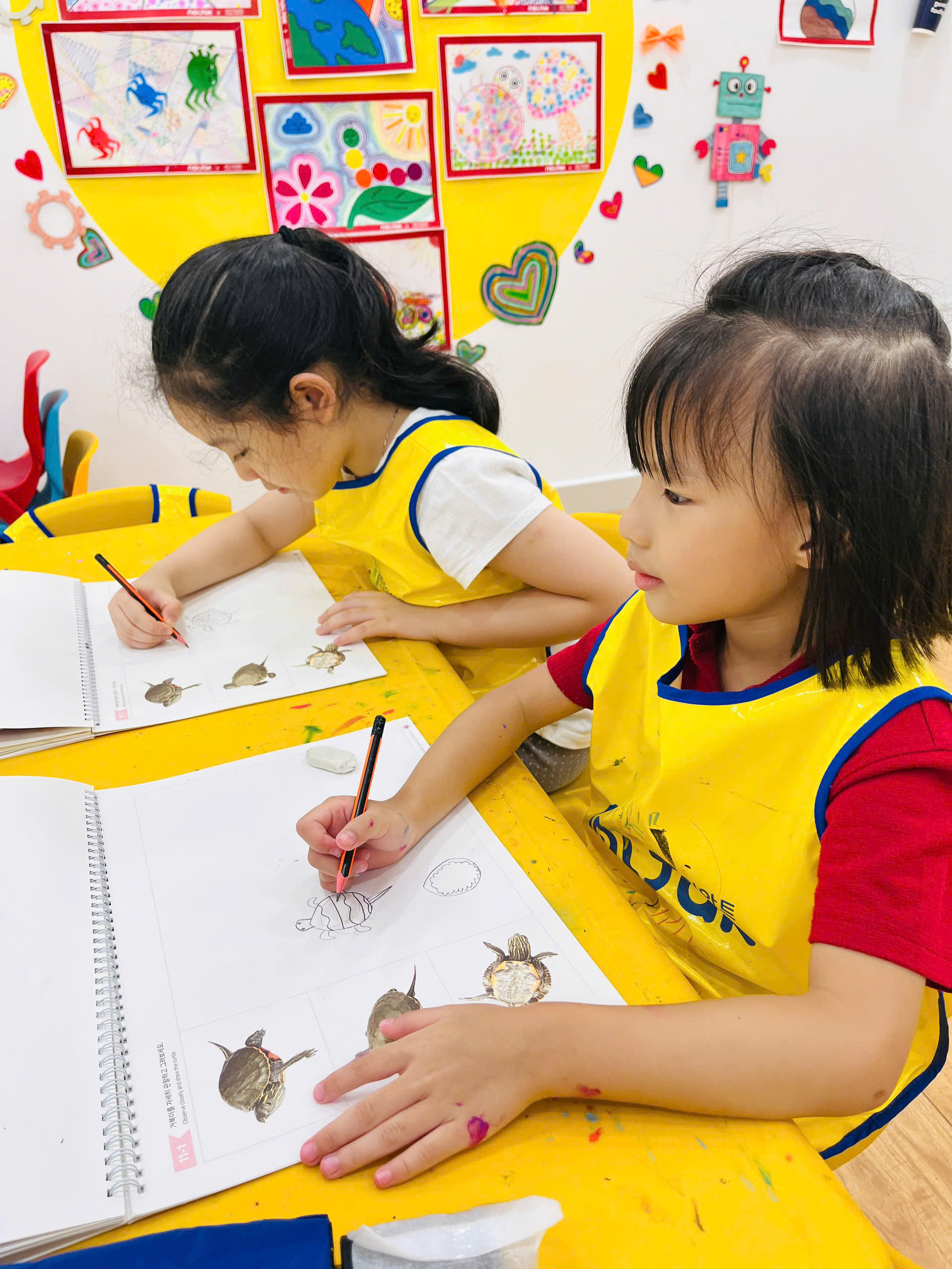 Mimi VÀ ThẾ GiỚi ĐẠi DƯƠng TrÊn ChiẾc "thuyỀn RÙa"