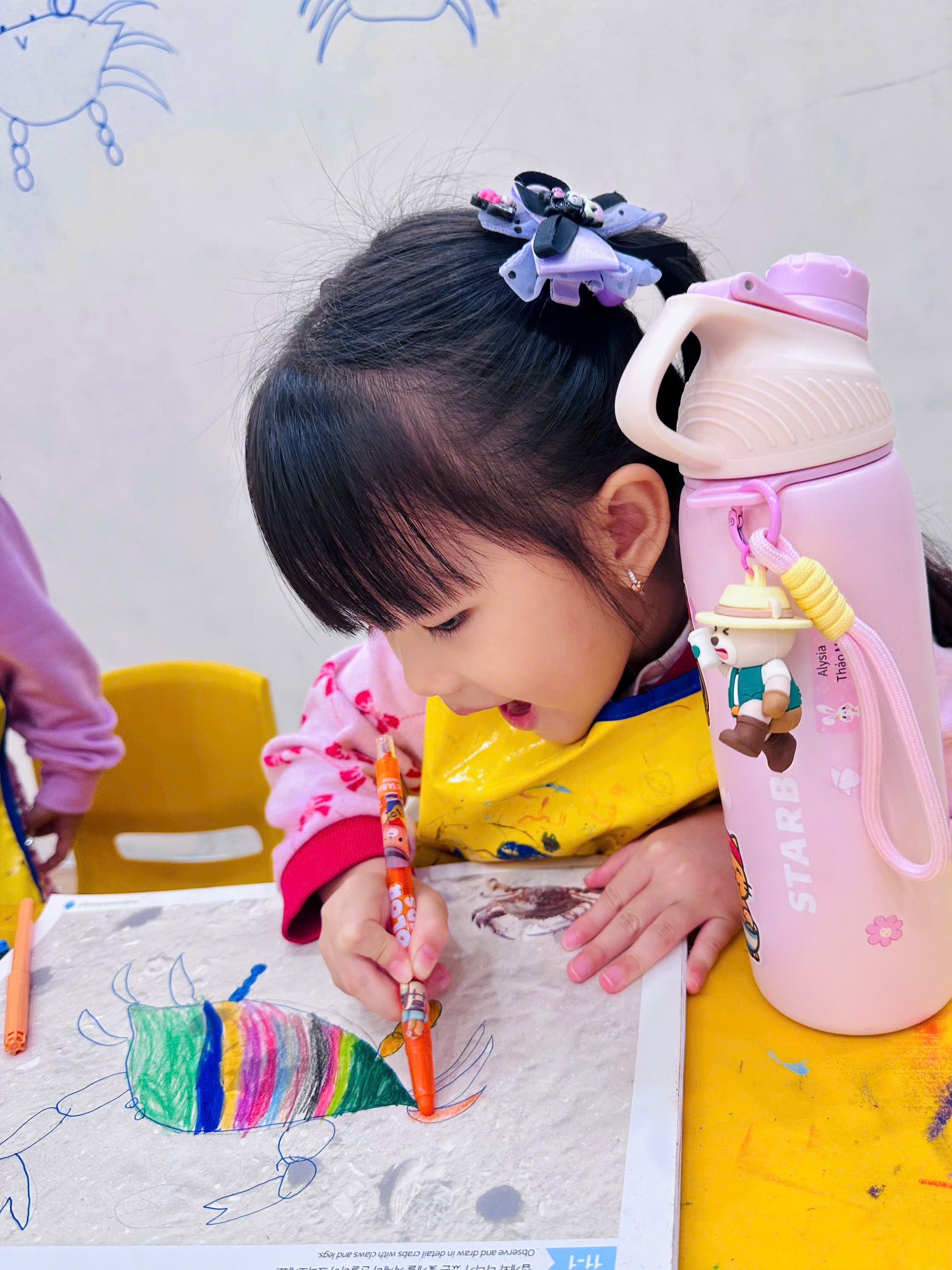 Cùng Bé Khám Phá Sự Khác Nhau Giữa Cua Và Ghẹ