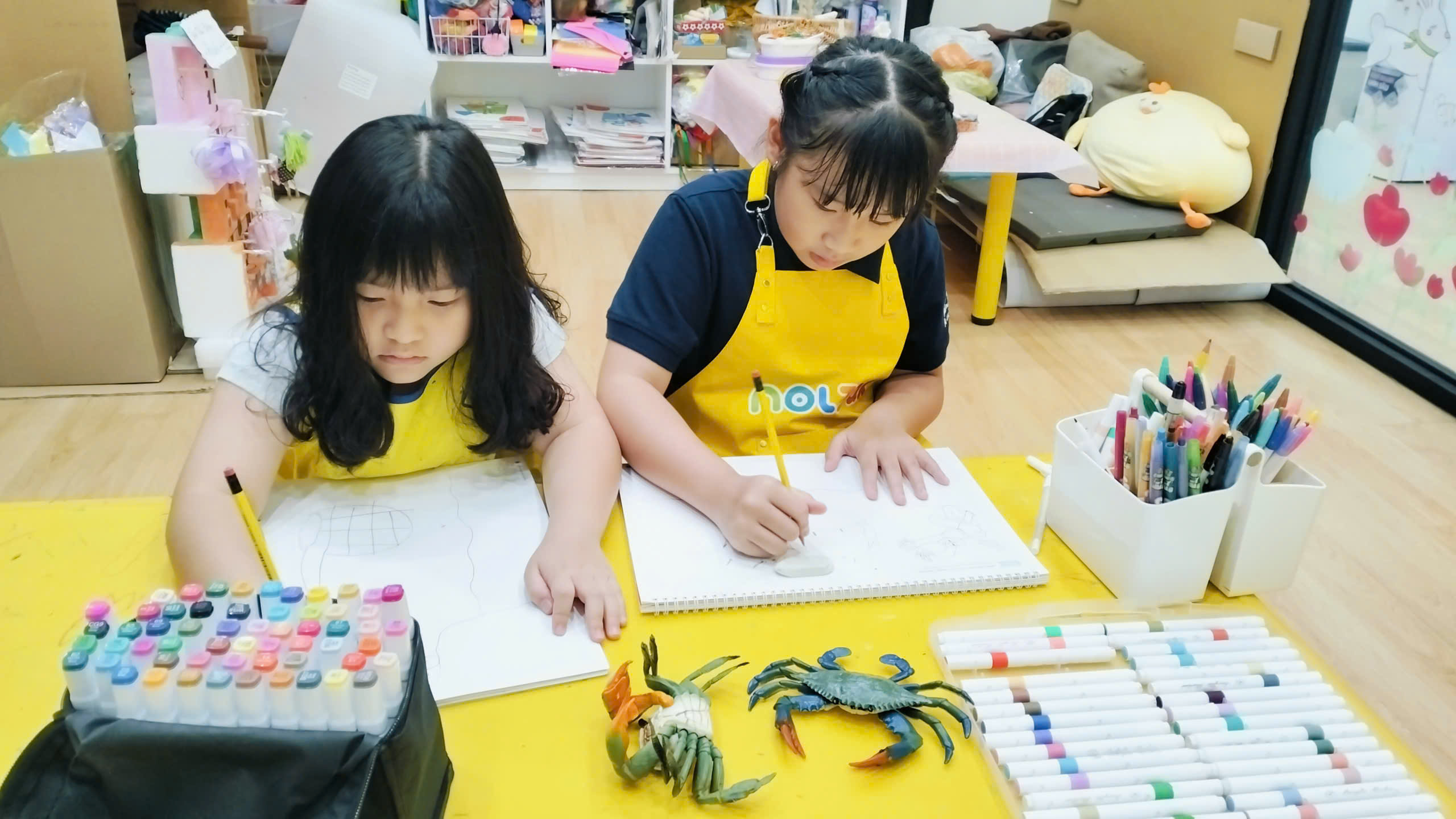 🦀 KhÁm PhÁ ThẾ GiỚi CỦa NhỮng ChÚ Cua Qua NÉt VẼ 🎨🌊
