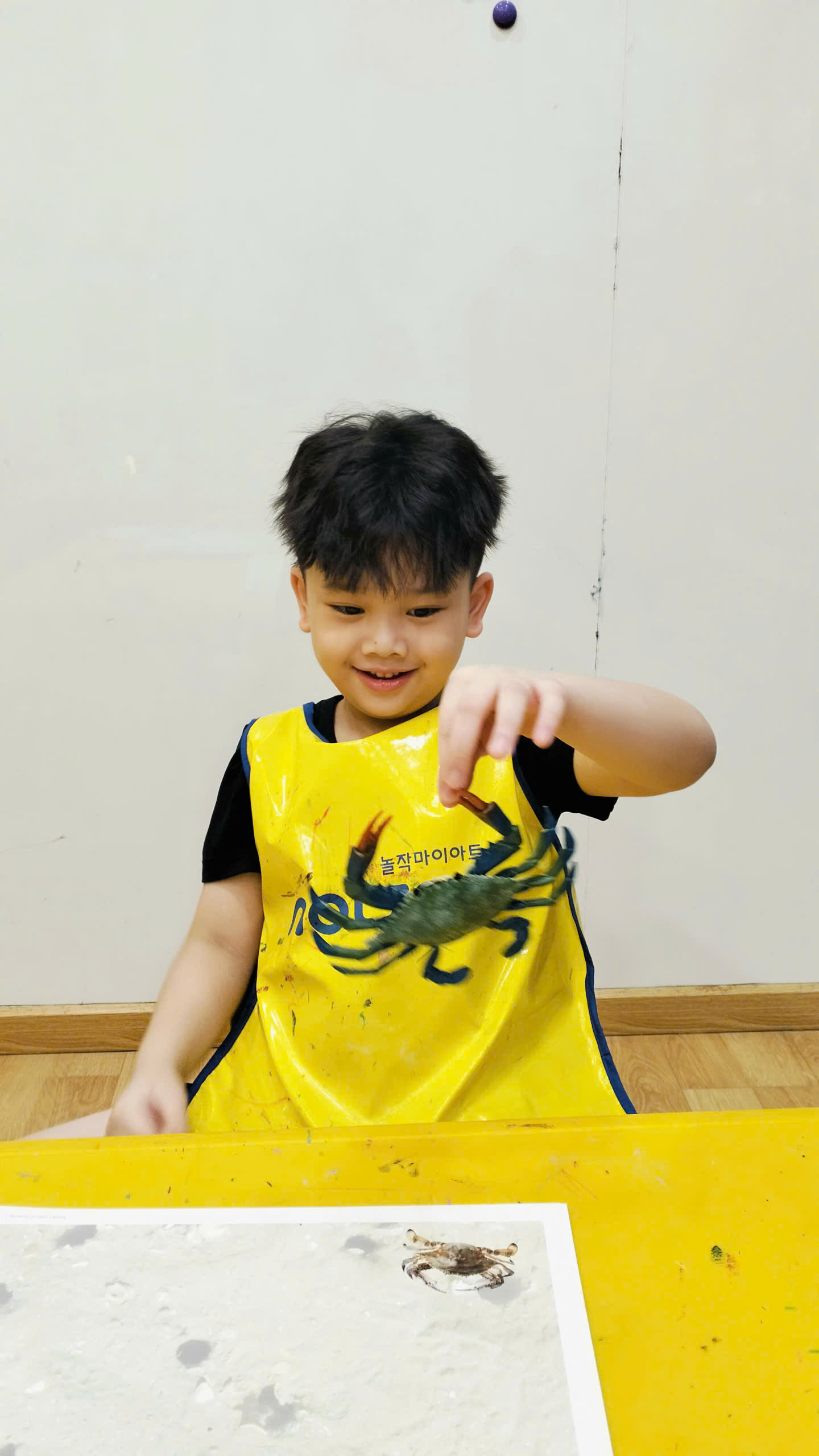 🦀 CÂu ChuyỆn CỦa NhỮng ChÚ Cua