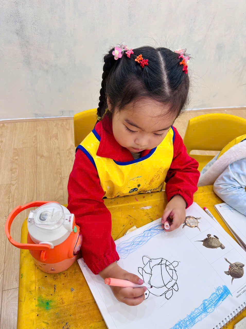 Khám Phá Thế Giới động Vật Qua Nét Vẽ